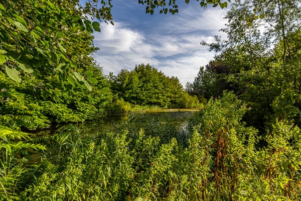 Medium property photo - Patrijspoort 37, 9733 GJ Groningen
